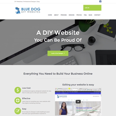 Blue Dog DIY Websites