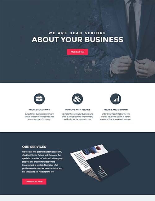 probiz-template