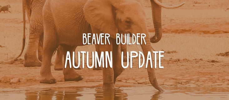Beaver Builder autumn updat