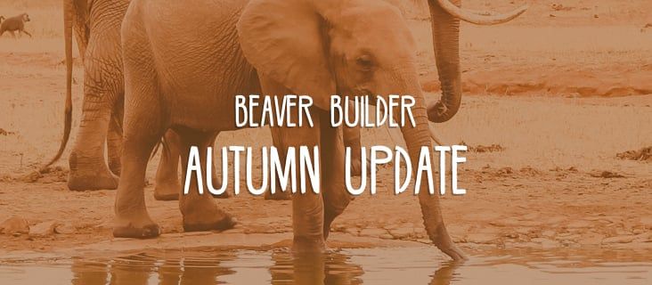Beaver Builder autumn updat