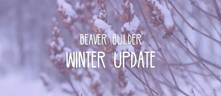 update-winter-future-plans Beaver Builder Winter Update