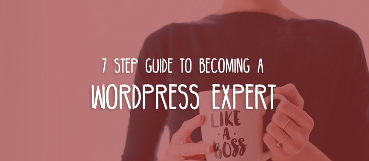 wordpress-expert-guide