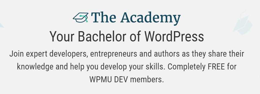 The WPMU DEV Academy homepage.