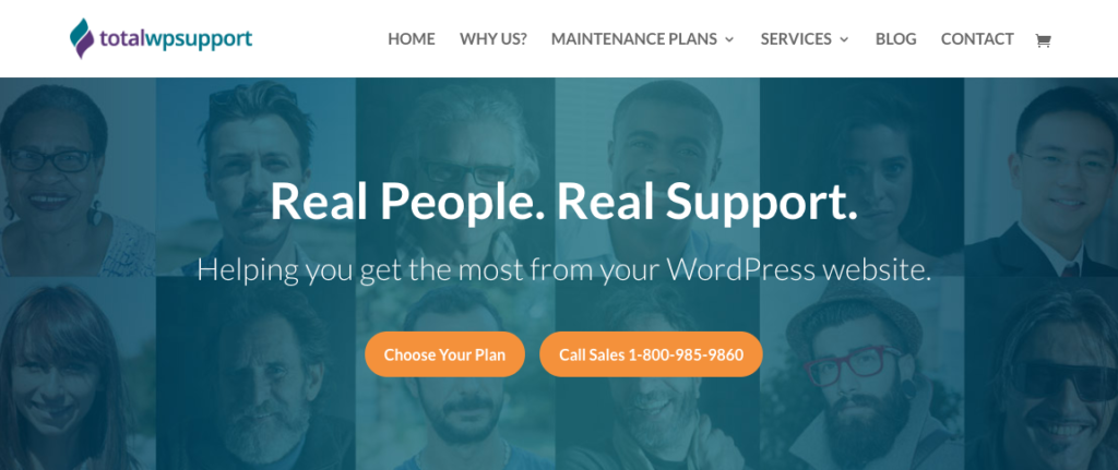 TotalWPSupport's homepage.