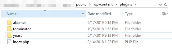Your WordPress plugin folders.