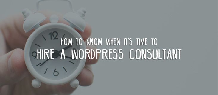 when-to-hire-wordpress-consultant