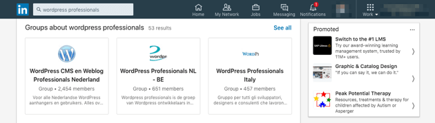 Search results for WordPress professionals on LinkedIn.