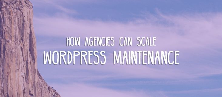 scale-wordpress-agency