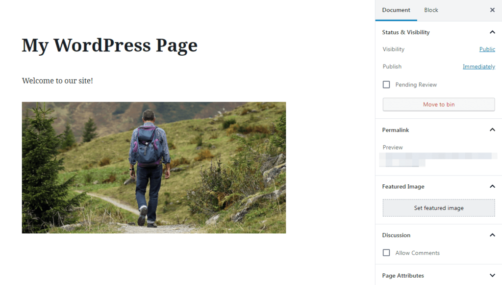 WordPress page settings.