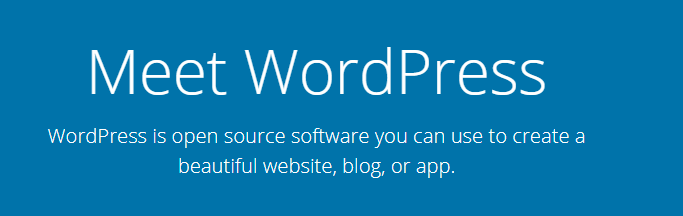 The WordPress homepage.