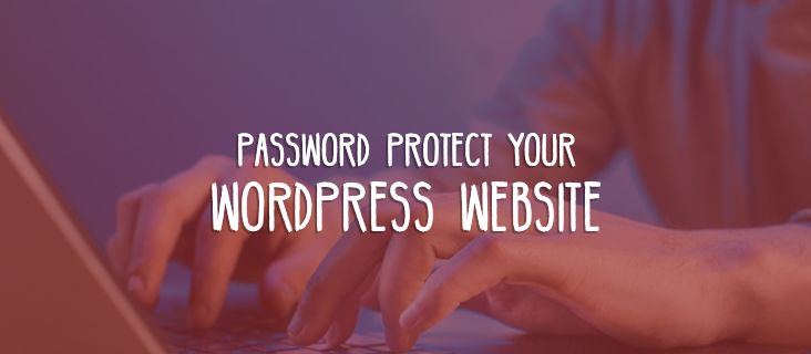 How to Password Protect a WordPress Site - WPZOOM