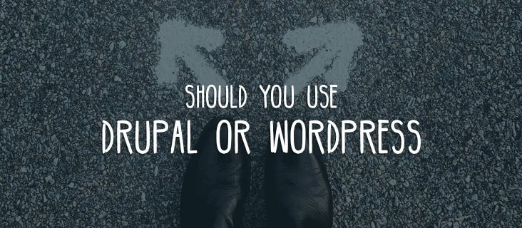 wordpress-or-drupal