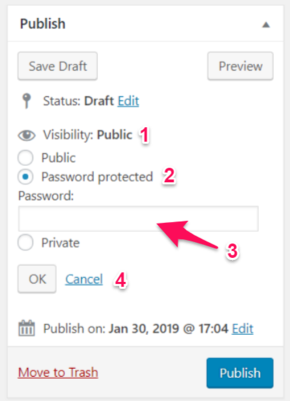 WordPress Password Protect Settings