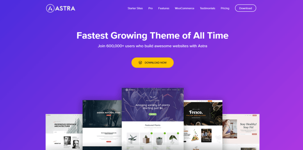 The Astra theme for WordPress.