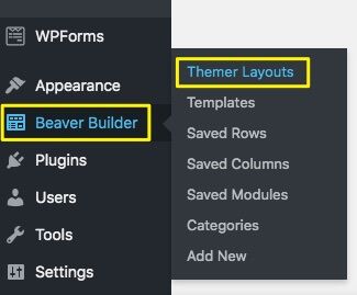 Beaver Themer options in WordPress.