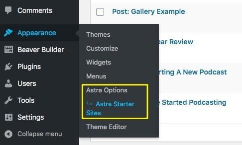 The Astra Options menu