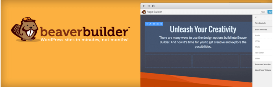 The Beaver Builder plugin.