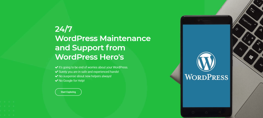 Premium-WordPress-maintenance-and-support