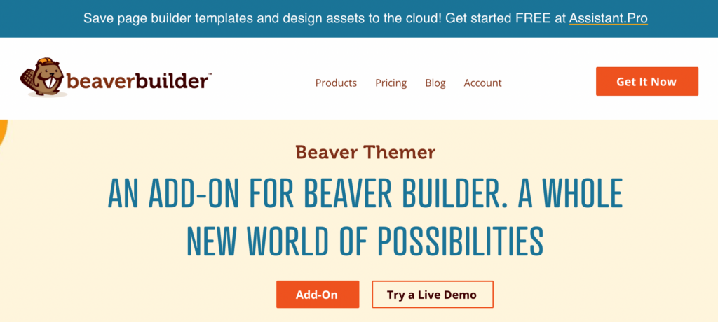 Beaver Themer add-on for Beaver Builder.