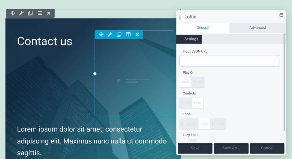 The settings panel of the Lottie module.