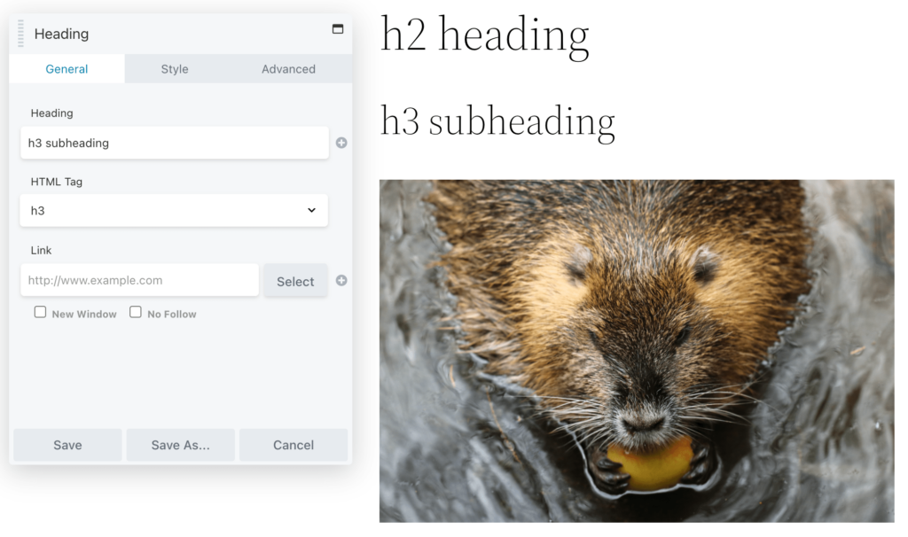 Heading HTML tags in Beaver Builder