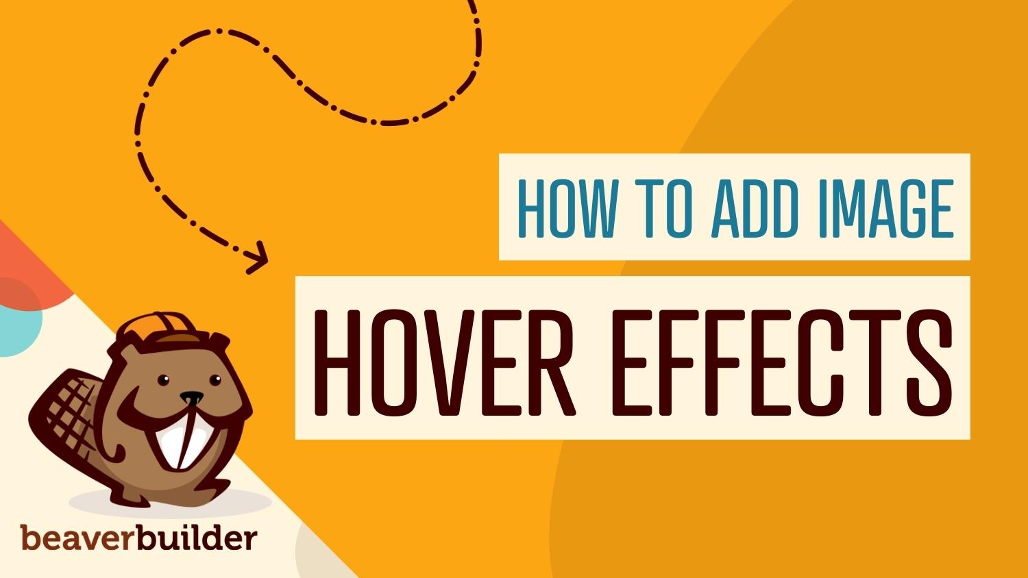 How to add image hover effects in wordpress | Beaver Builder Blog