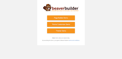 Beaver Themer Demo