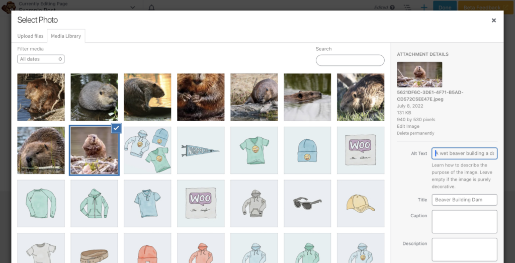 Adding alt text to an image with Beaver Builder. 