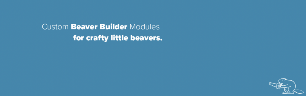 Craft Beaver Custom Modules