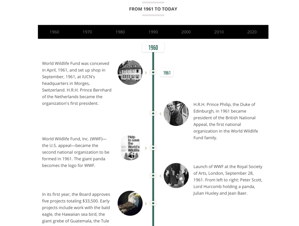 Example of a timeline on a website
